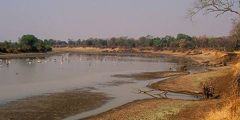 South Luangwa National Park Luxury Safari