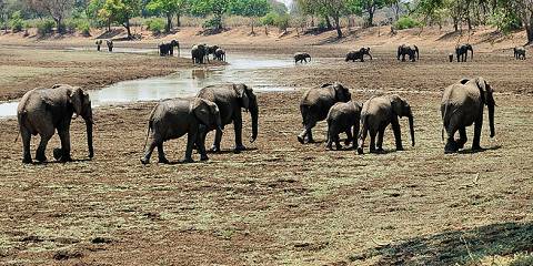 15-Day Walking Safari Zambia