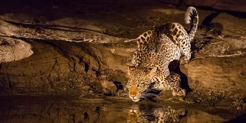 10-Day South Luangwa & Livingstone (Victoria Falls)