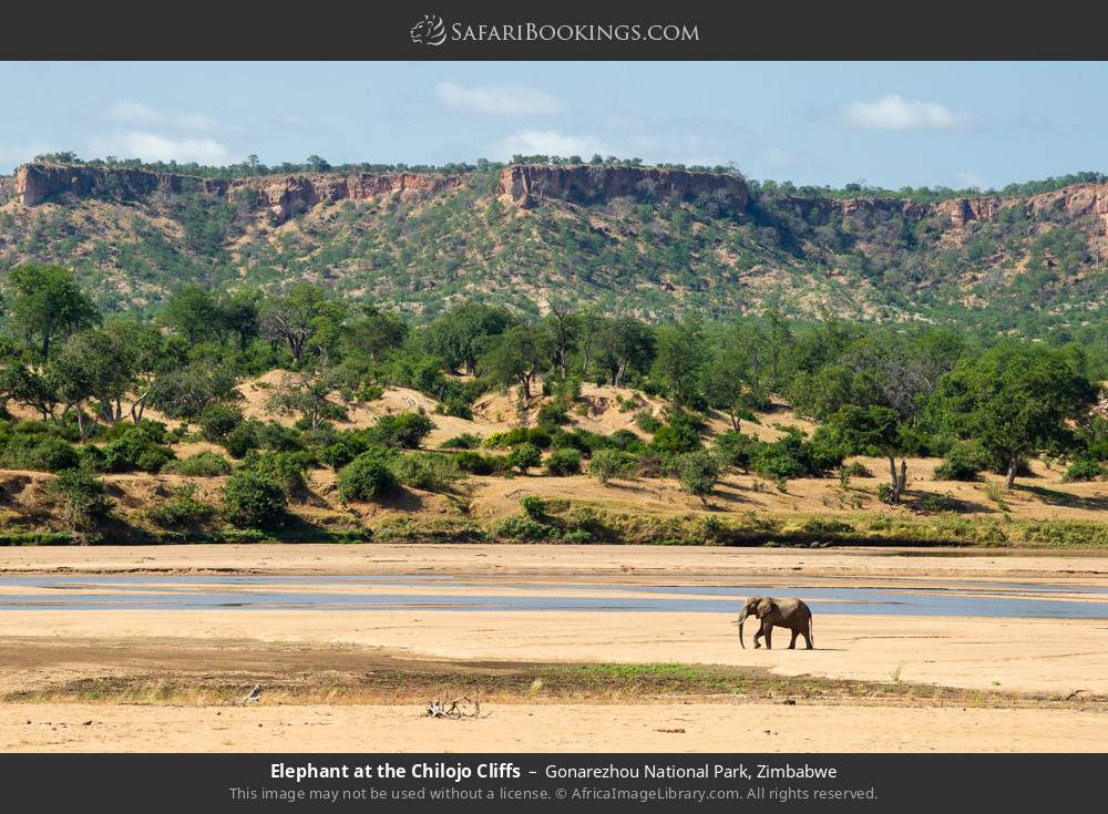 Elephant at the Chilojo Cliffs in Gonarezhou National Park, Zimbabwe