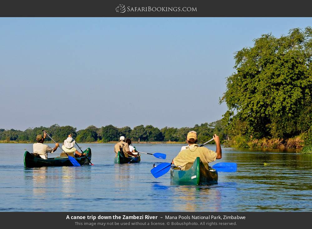 A canoe trip down the Zambezi River in Mana Pools NP in Mana Pools National Park, Zimbabwe