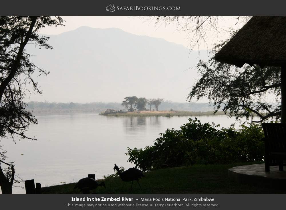 Island in the Zambezi River in Mana Pools National Park, Zimbabwe