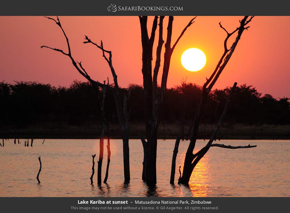 Lake Kariba at sunset in Matusadona National Park, Zimbabwe