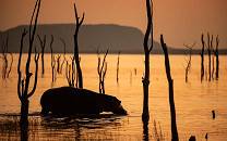 Matusadona National Park