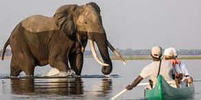 Open Photos