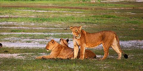 Zimbabwe Waterfalls, Wildlife & Wilderness