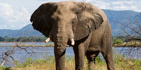 10-Day 4 Star Zimbabwe Victoria Falls Hwange Lake Kariba