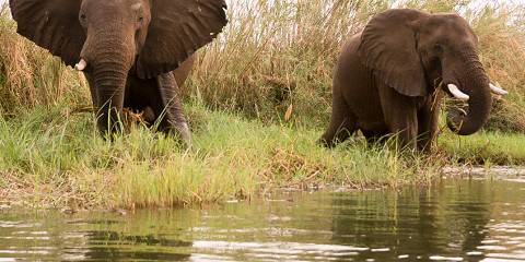 Cape Town, Kruger & Vic Falls