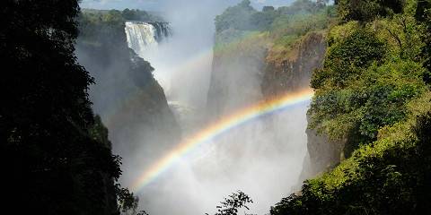 ½-Day Devils Pool & Livingstone Lunch Experience