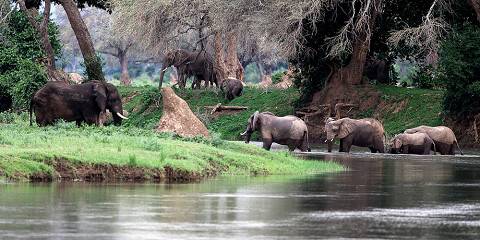 3-Day Highlights of Victoria Falls in Luxury