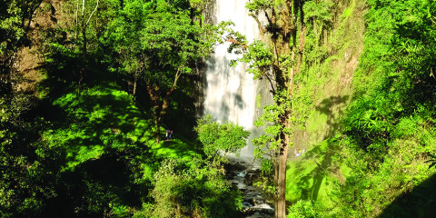 2-Day Kilimanjaro Foothills and Kikuletwa Hotspring