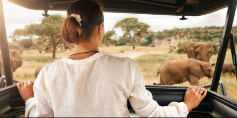 ½-Day Johannesburg to Sun City Transfer and Game Drive