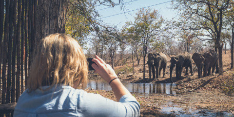 3-Day Kruger - Chacma Bush Camp
