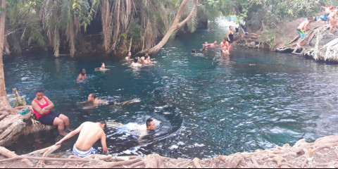 1-Day Kikuletwa - Hotspring (8Hrs) Tour