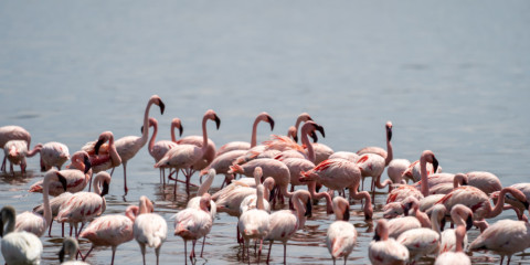 7-Day Unique Great Rift Valley Journey