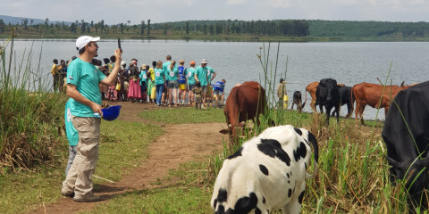 3-Day Lake Kivu and Discover Rwanda's Tea Plantations