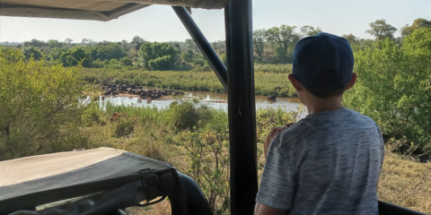 3-Day Kruger Park Classic Camping Safari