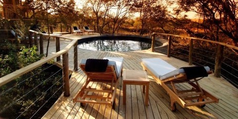 4-Day Kwazulu Natal Safari with Nambiti Plains Lodge
