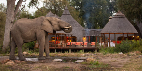 4-Day All-Inclusive Kruger Safari with Hoyo Hoyo