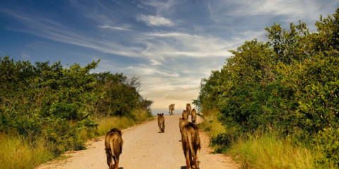 3-Day Victoria Falls Basic Plan with Optional Add On's