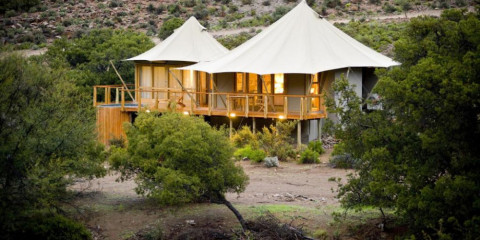 3-Day Luxury Sanbona Dwyka Tented Lodge Cape Town Safari