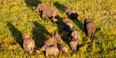 11-Day Safari Wilderness & Sandy Beaches Comfort
