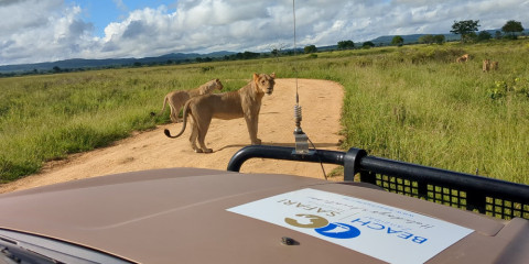 6-Day The Ultimate Serengeti Glamping Experience