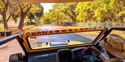 ½-Day 4x4 Safari in Vic Falls Town