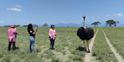 5-Day Maasai Mara + Lake Nakuru Private Safari