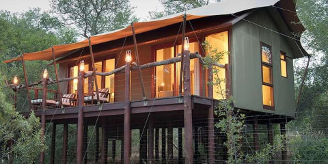 2-Day Kapama Buffalo Camp Safari