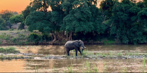 6-Day Kruger Package Bush and Elephants