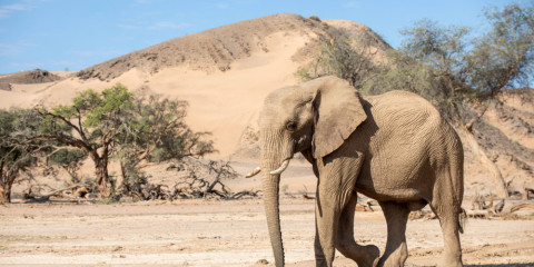 10-Day Discover Namibia Small Group Safari