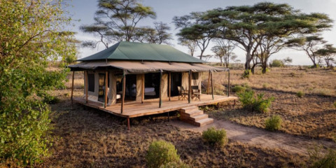 8-Day Destiny Signature Safari