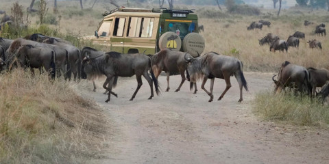 4-Day Mara River Migration Special Safari (Luxury)