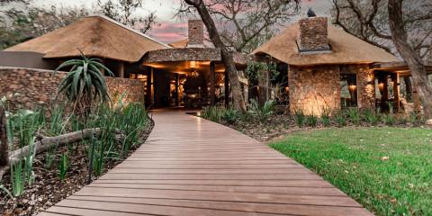 5-Day Sabi Sand Dulini Moya Lodge Safari