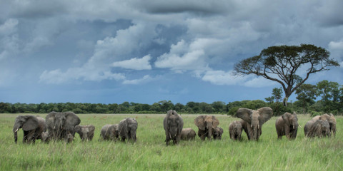 9-Day Ultimate Zambian Safari