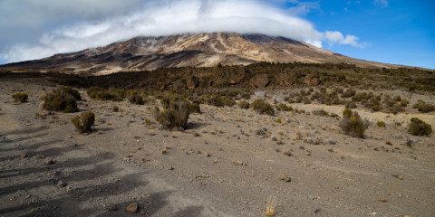 8-Day Kilimanjaro Expedition via Rongai Route