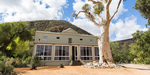 4-Day Luxury Sanbona Tinley Cape Town Safari