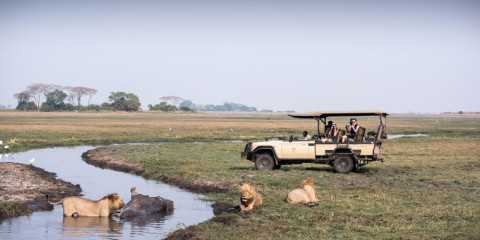 8-Day Ultimate Kafue National Park Safari
