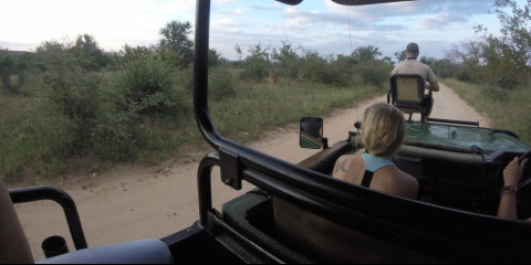 4-Day Tremisana Lodge Safari