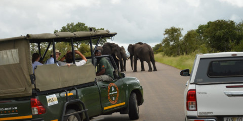 1-Day Ultimate Pilanesberg Tour