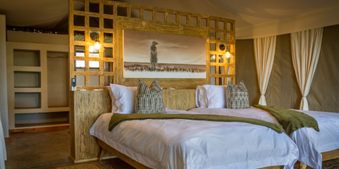 4-Day Imagine Africa Lodge Safari