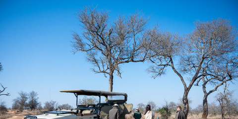 5-Day Imbali Lodge Safari Tour