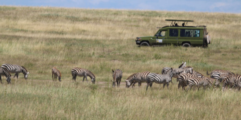 4-Day Serengeti Fly in Luxury Experience