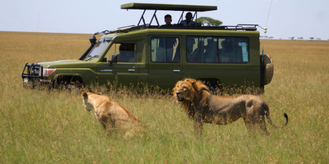 3-Day Fly in Honeymoon Safari Best of Tanzania (Luxury)