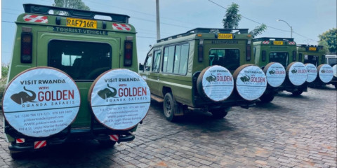 6-Day Chimpanzee and Golden Monkey Trekking