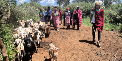 1-Day Maasai Village Authentic Experience