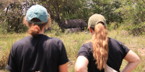 2-Day Savannah Wildlife Safari in Murchison Falls NP