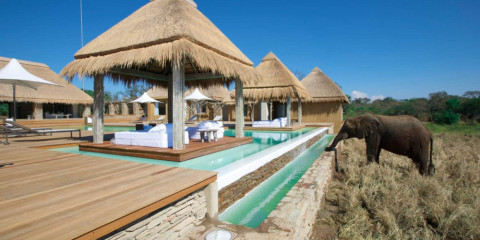 7-Day Ivory Tree & Kapama River Lodge Combo Safari