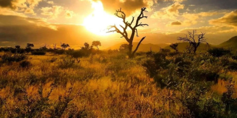 4-Day Dumela Camping Budget Adventure